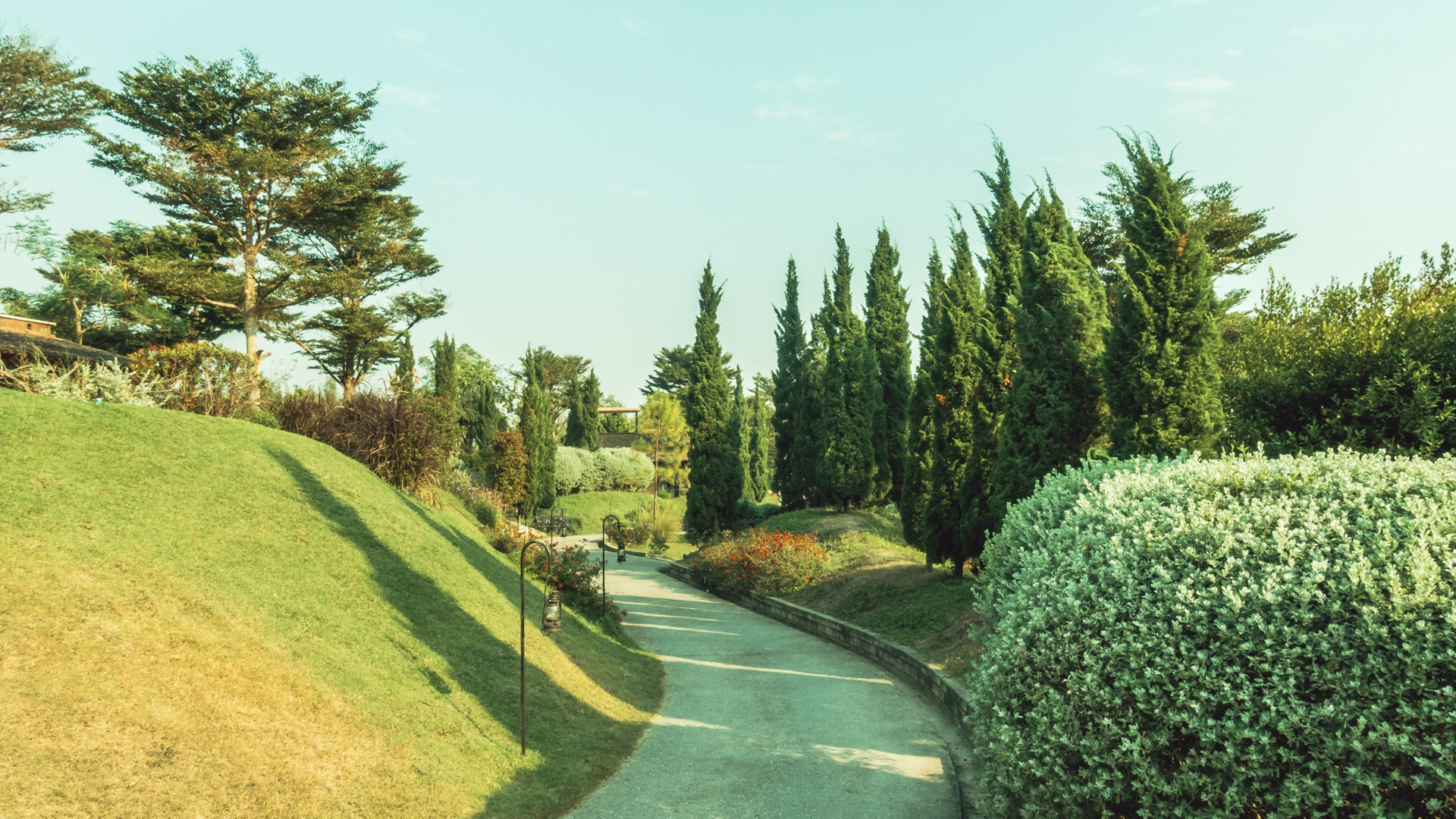 Blossom Haven landscape project in South Carolina