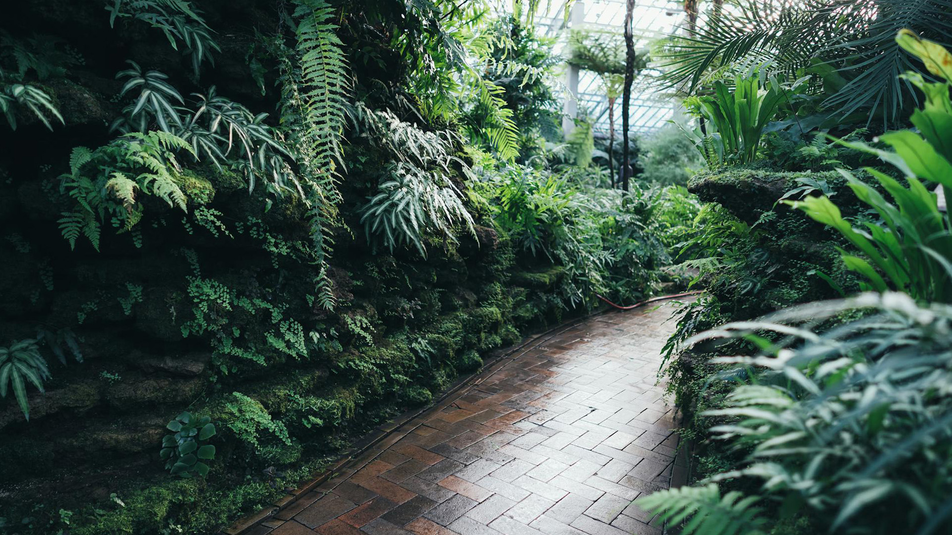 Harmony Gardens landscape project in Arizona