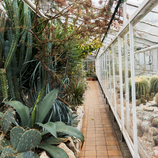 Landscape architecture service showcase