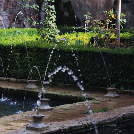 Landscape consultation service showcase