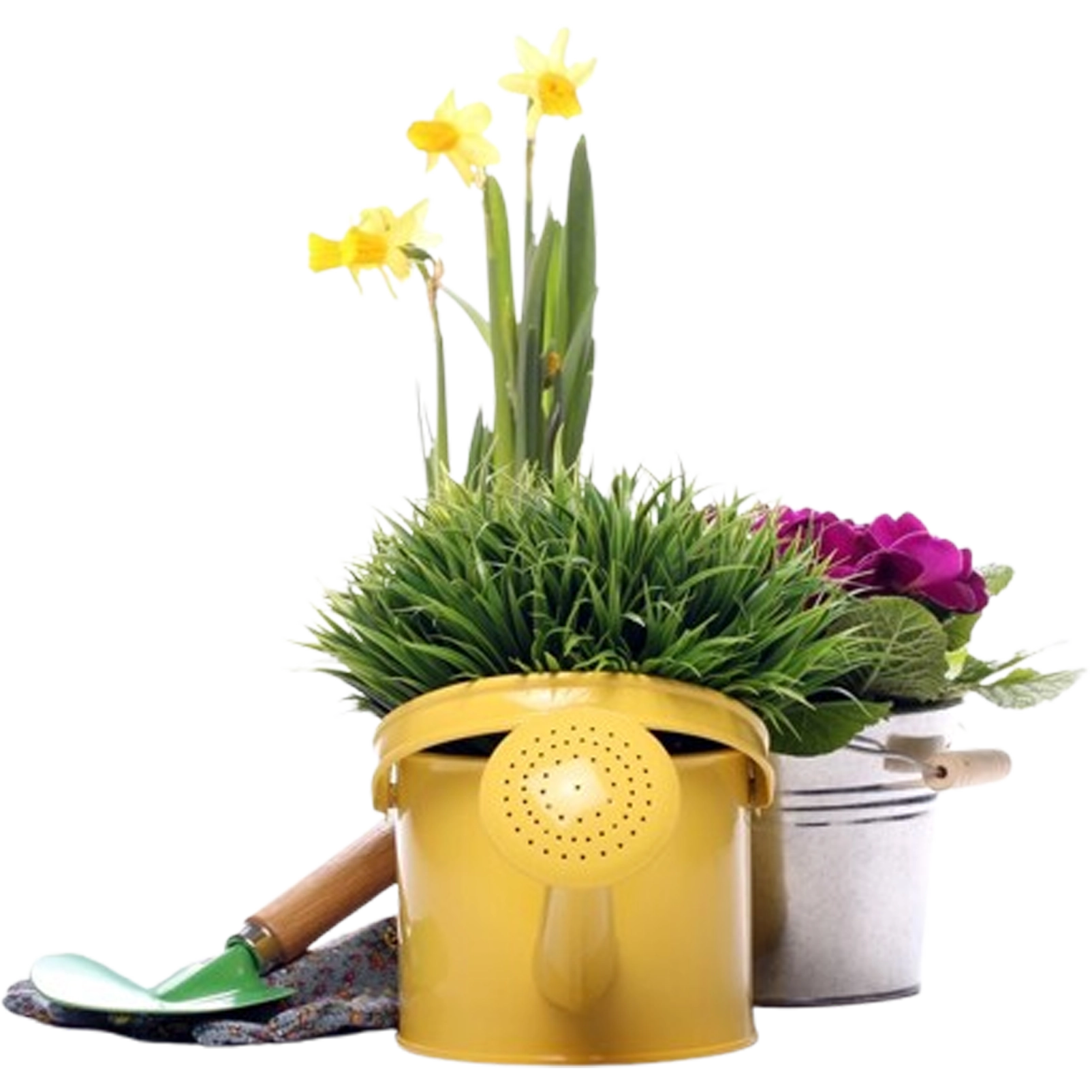 Garden Care